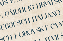 Inara Organic Textured Serif Font Product Image 3