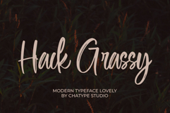 Sofewely Product Image 3