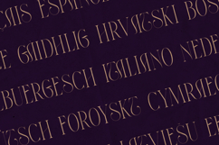 Thorn &amp; Tale Elegant Serif Font Product Image 3