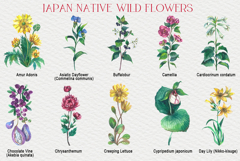 Japan native wild flowers watercolor Product Image 2