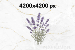 Lavender Floral PNG, Rustic Botanical Bouquet Sublimation Product Image 2