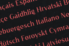 Ludic Modern Display Sans Serif Font Product Image 3