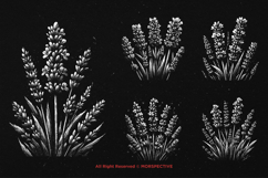 10 Bundle Dark Art Lavender Flower Botanical Wildflowers Product Image 5