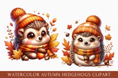 watercolor autumn hedgehog clipart, autumn hedgehog Clipart Product Image 1