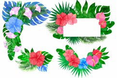 Collection of Tropical floral clipart Product Image 4