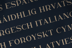 Nelipot Organic Serif Font Product Image 3