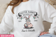 Easter Rabbit PNG, Vintage Easter Rabbit Bunny PNG Product Image 3