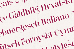 Wonderz Avant Edition Modern Artistic Serif Font Product Image 3