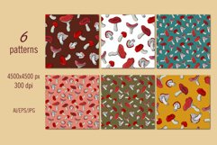 Russula mushrooms - collection Product Image 3