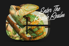 Redrun | Font Duo Product Image 3