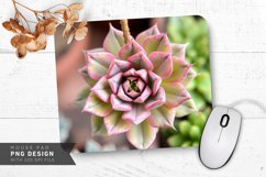 Succulent Heart Mouse Pad PNG Design Product Image 1