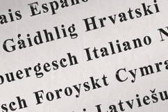 Oldink Vintage Rough Serif Font Product Image 3