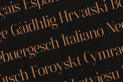 Flowrite Serif Font Elegant High-Contrast Product Image 3