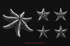 10 Bundle Dark Art Starfish Ocean Animal Sea Creature Skull Product Image 5