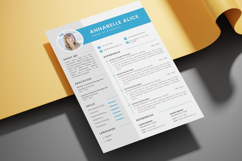 02 Professional Resume Template - Canva Product Image 3