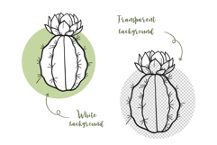 Cactus SVG PNG Bundle, Succulent Pot Line art Product Image 4