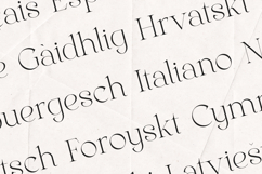 Gleed Elegant Modern Serif Display Font Product Image 3