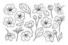 Cherry Blossom Clipart SVG PNG Product Image 3