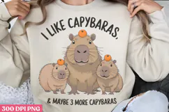 I Like Capybaras & maybe PNG, Funny Capybara Sublimation PNG Product Image 3