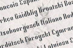 FIKA LINES Display Font Product Image 3