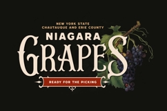 Agondav - Victorian Vintage Font Product Image 3