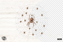 Spider Webs Clipart Product Image 1