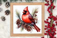 Christmas Cardinal Watercolor Clipart, Christmas Cardinal Product Image 3