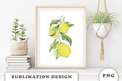 Watercolor Lemons composition png Product Image 3