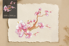 Hand Painted Sakura PNG Elements - Watercolor &amp; Oil Pastel Product Image 2
