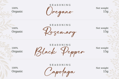 Balistica Signatura a Elegant Script Product Image 10