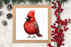 Christmas Hand Drawn Style Clipart, Christmas Clipart Product Image 3