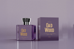 Eurosina - Vintage Serif Victorian Font Product Image 2