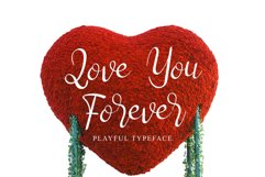 Mandala script Product Image 5