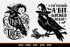 Funny Halloween SVG Design, Raven SVG, Witch SVG Product Image 2