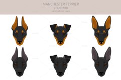 Manchester Terrier Standard clipart Product Image 5
