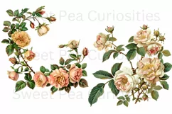 Flowers, Junk Journal, PNG, Clipart, Ephemera, Botanical Product Image 3