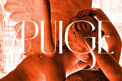 Valina Modern and Elegant Font Product Image 3