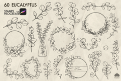 Eucalyptus Procreate stamp brush Product Image 3