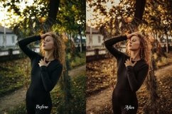 30 Fall Fantasy Video LUTs Product Image 3