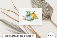 Watercolor Autumn Pumpkins png Product Image 3