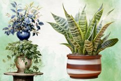 Houseplants Pot Sublimation Bundle, Houseplants in Pot PNG Product Image 4