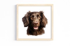 Peeking Dog Collection Clipart Product Image 3