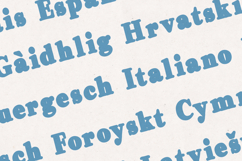 Preta Blackout Bold Retro Serif Font Product Image 3