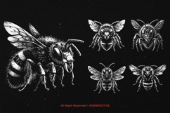 10 Bundle Dark Art Bumble Bee Skull Insect Gothic Horror Product Image 5