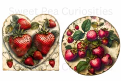Strawberry, Strawberries, Ephemera, PNG, Clipart Product Image 3