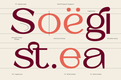 Barium - Luxury Elegant Beauty Sans Serif Product Image 3