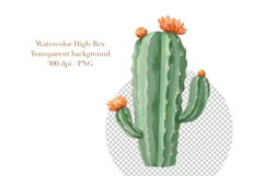 Watercolor Cactus Clipart , Succulent PNG, Desert Plants Product Image 4