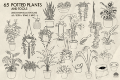 Potted Plants Line Art Collection Svg Png Eps Product Image 3