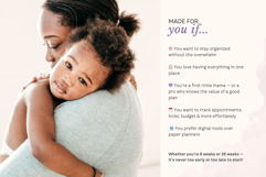 Pregnancy Planner Excel Spreadsheet Product Image 3