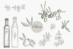 Olive Vector set Product Image 3